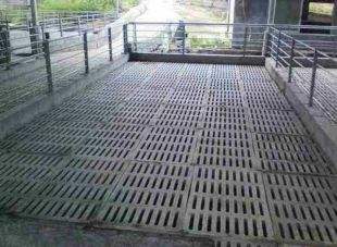 水泥漏粪板 水泥漏粪板