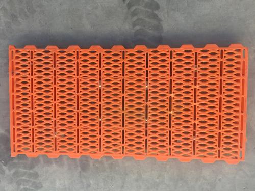 ����©���